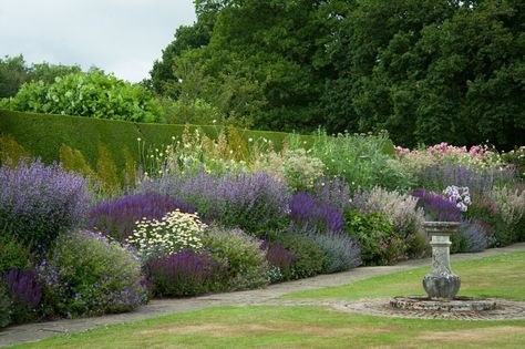 Vegetable Garden Planning, Garden Border, Herbaceous Border, Purple Garden, Garden Design Plans, Mediterranean Garden, Garden Landscape Design, Garden Borders, Landscaping With Rocks