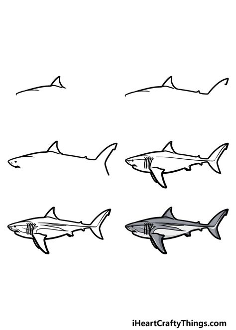 Megalodon Drawing - How To Draw A Megalodon Step By Step Megalodon Drawing, Sea Theme, The Mighty, Step By Step Guide, Our Planet, Step Guide, To Draw, Step By Step, Drawings