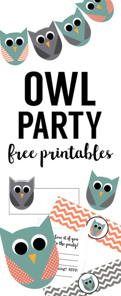 Free Owl Party Printables. Free DIY owl decor for an owl birthday party or owl baby shower. Free owl birthday printables and free owl baby shower printables. Owl Themed Birthday Party, Diy Owl, Owl Baby Shower Theme, Owl Birthday Parties, Owl Birthday, Birthday Party Printables, Owl Party, Owl Baby, Owl Baby Shower