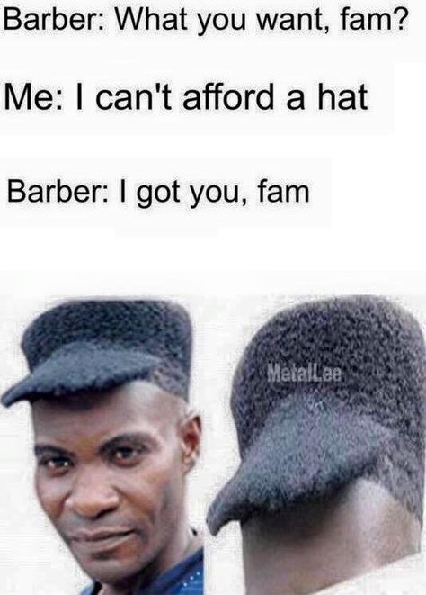 Barber Say No More, Barber Memes, Haircut Memes, Worst Hairstyles, Terrible Haircuts, Epic Fails Funny, Platypus, Funny As Hell, Hair Humor