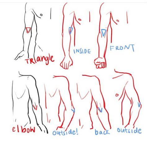 Elbow placing tips . Credit t Arm Drawing, Anatomy Tutorial, Anatomy Sketches, Drawing Faces, Hand Reference, Anatomy Drawing, Guided Drawing, Body Drawing, Anatomy Reference