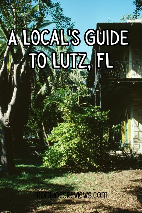 A Local's Guide to Lutz, FL Lutz Florida, Independence Day Parade, Florida Destinations, Family Picnic, Recreational Activities, State Of Florida, Easy Travel, Local Guide, Immersive Experience