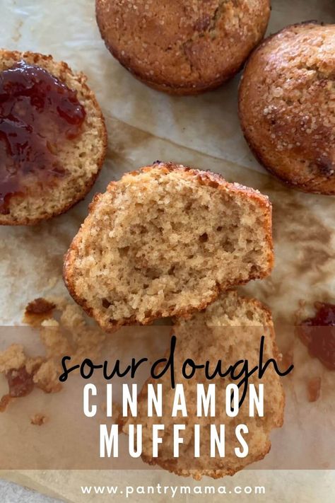 Sourdough Cinnamon Muffins Sourdough Cinnamon Muffins Recipe, No Wait Sourdough Muffins, Cinnamon Sourdough Muffins, Sourdough Starter Muffin Recipes, Sourdough Applesauce Muffins, Easy Sourdough Muffins, Sourdough Apple Cinnamon Muffins, Sourdough Discard Cinnamon Muffins, Sourdough Cinnamon Muffins