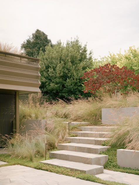 Mansard House by Studio Bright | est living Mansard House, Landscape Stairs, Landscape Details, Brick Garden, Garden Stairs, Garden Steps, Concrete Steps, The Local Project, Modern Landscape