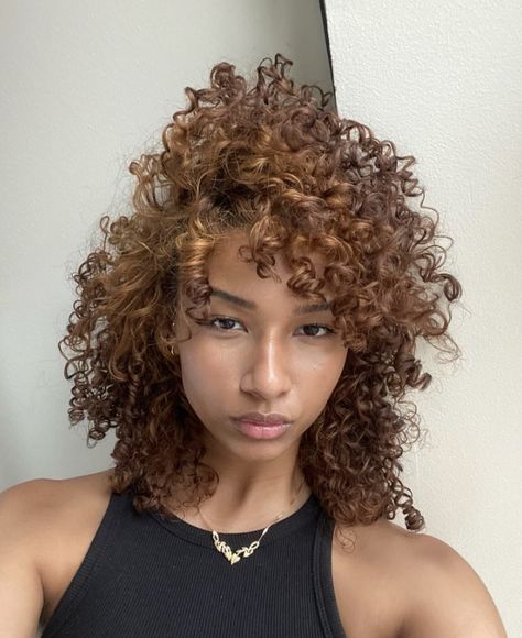 Light Brown Ginger Curly Hair, Copper Brown Hair With Highlights Curly Hair, Auburn Ombre Curly Hair, Color Hair Curly Ideas, Cinnamon Curly Hair Color, Honey Brown Hair Curly Highlights, Hazelnut Brown Curly Hair, Brown Hair Curly Natural, Light Red Curly Hair