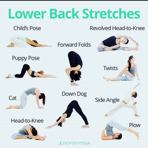 Lower Back Stretches, Lower Back Pain Stretches, Yoga Poses For Back, Low Back Stretches, Back Stretches For Pain, Lower Back Pain Exercises, Latihan Yoga, Yoga Beginners, Yoga For Back Pain