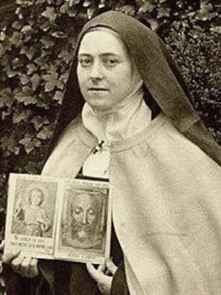 Catholic Veil, St Therese Of Lisieux, Thérèse Of Lisieux, Under The Shadow, Jesus Face, St Therese, Child Jesus, Face Images, Blessed Mother