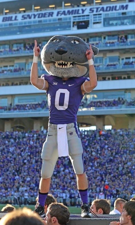 Who Doesnt LOVE Willy - Kansas State University Aesthetic, Kstate Powercat, Kansas State Football, Ksu Wildcats, Scrapbook Photos, Anniversary Scrapbook, K State, Kansas State University, House Divided