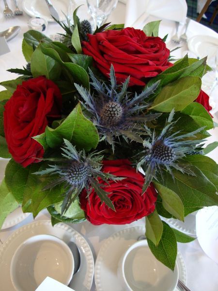 Roses and thistle. Heres your red, blue and green Red Rose And Thistle Bouquet, Wedding Bouquets Red, Thistle Wedding Flowers, Quince Flowers, Scottish Wedding Themes, Florist Inspiration, Thistle Decor, Christmas Wedding Bouquets, Thistle Bouquet