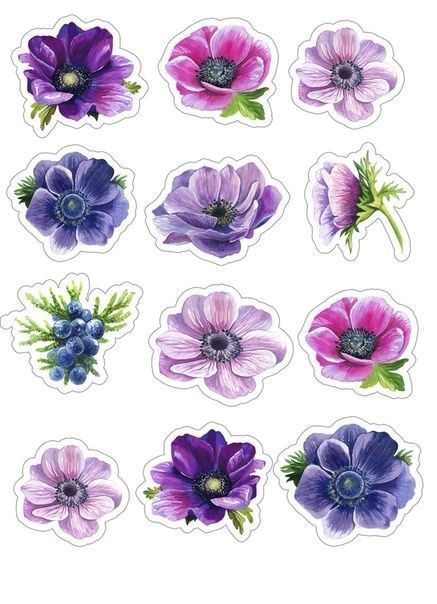 Sticker Design Inspiration, Round Of Applause, Desain Quilling, Scrapbook Stickers Printable, Bullet Journal Stickers, Floral Stickers, Dessin Adorable, Bullet Journal Ideas Pages, Aesthetic Stickers