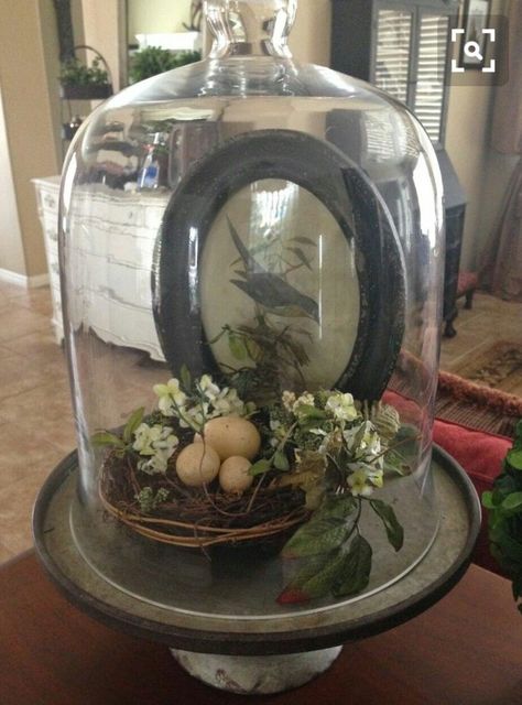 Easter Cloche Ideas, Glass Cloche Decor, Cloche Ideas, Cloche Decor, Cloche Domes, Glass Cloche, Deco Boheme, The Bell Jar, Egg Art