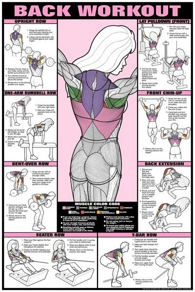 Workout Posters, Trening Fitness, Yoga Equipment, Formda Kal, Body Fitness, Motivation Fitness, Back Exercises, Back Workout, Diet Keto