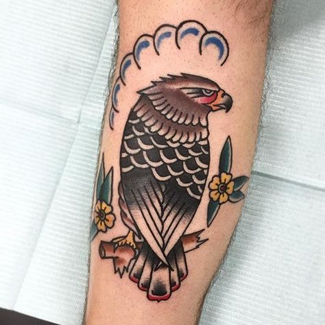 21inkedd | Traditional Hawk Tattoo by @jessevomhit #Hawk #TraditionalHawk #BirdTattoo #TraditionalBird | Tattoodo Old School Hawk Tattoo, Hawk Tattoo Traditional, American Traditional Hawk Tattoo, Eagle Tattoo Girl, Traditional Vulture Tattoo, Pansy Tattoo, Falcon Tattoo, Traditional Eagle Tattoo, Wrap Around Wrist Tattoos