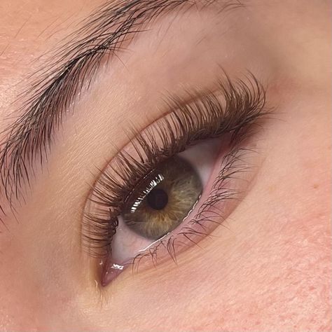 Brown eyelash extensions #eyelashes Super Natural Lashes Extensions, 8mm Lash Extensions, Classic Natural Eyelash Extensions Short, Natural Lash Extensions Brown, Classic Brown Lash Extensions, Brown Eyelash Extensions Natural, Super Natural Eyelash Extensions, Dark Brown Eyelash Extensions, Brown Wispy Lash Extensions