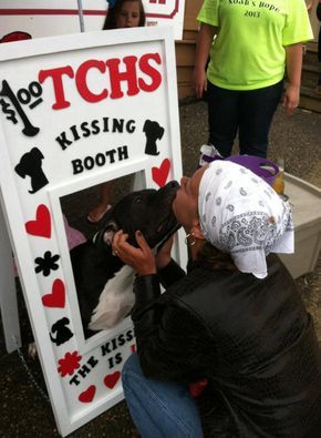 Animal Shelter Fundraiser, Dog Fundraiser, Charity Work Ideas, Fundraising Activities, Charity Project, Kissing Booth, Charity Work, Chihuahua Dogs, Terrier Mix