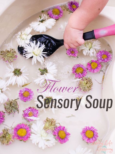 My toddler loves water play! This time, I threw in some fresh flowers that were just about to fade, and this quick and simple Flower Sensory Soup kept him entertained for a long time! Flower Sensory, Toddler Sensory, Spring Preschool, Sensory Table, Toddler Snacks, Sensory Bin, Spring Theme, Water Play, Simple Flower