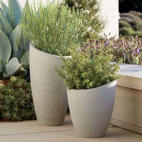 17 Little More Different Planters To Adorn Your Living Space