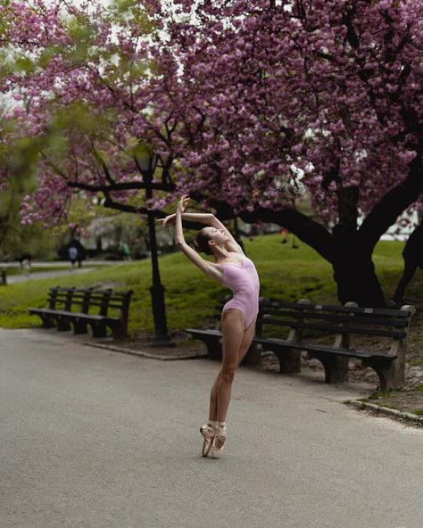 Eva Nys (@evanysphotography) • Instagram photos and videos Dance Senior Pictures, Ballet Jazz, Senior Pictures, Ballet, Photo And Video, Instagram Photos, Instagram Photo, Photography, Instagram