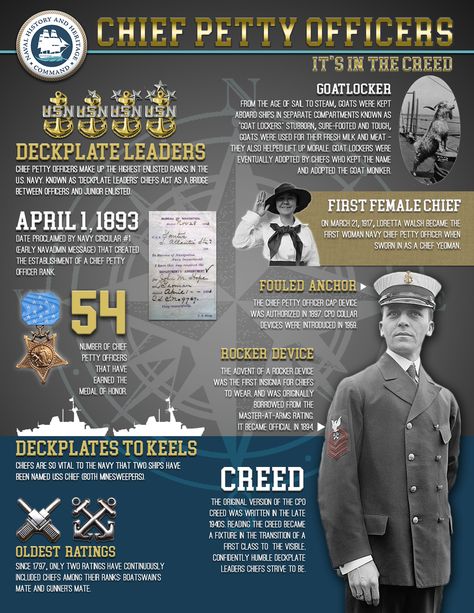 Navy Officer Ranks, Navy Chief Petty Officer, Military Ranks, Chief Petty Officer, Fly Navy, Navy Chief, Warrant Officer, Navy Life, Office Birthday