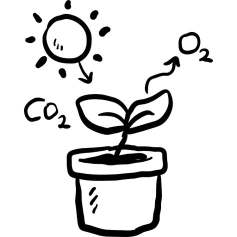 Photosynthesis Drawing, Red Monochrome, Photosynthesis, Icon Download, Icon Font, Vector Icons, Icon Design, Vector Free, How To Draw Hands