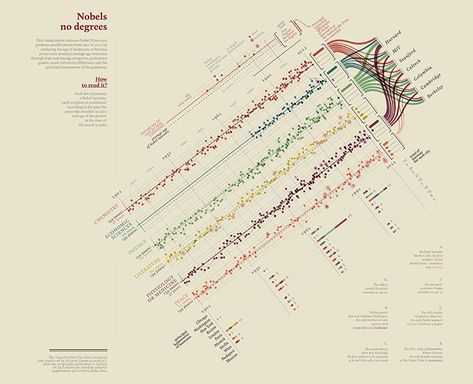 Giorgia Lupi Brugal Rum, Dear Data, Data Representation, Data Art, Visual Data, Brain Drain, New York Office, Data Visualization Design, Creative Infographic