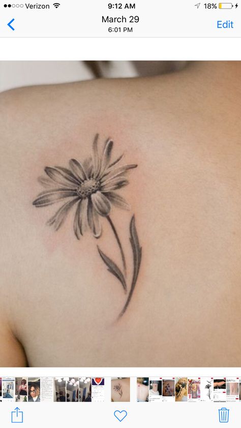 Daisy Tattoo On Shoulder, Daisy Back Tattoo, Unique Daisy Tattoo, Black And White Daisy Tattoo, Daisy Flower Tattoo Designs, Gerber Daisy Tattoo, Gerbera Daisy Tattoo, Daisy Flower Tattoo, Daisy Tattoos