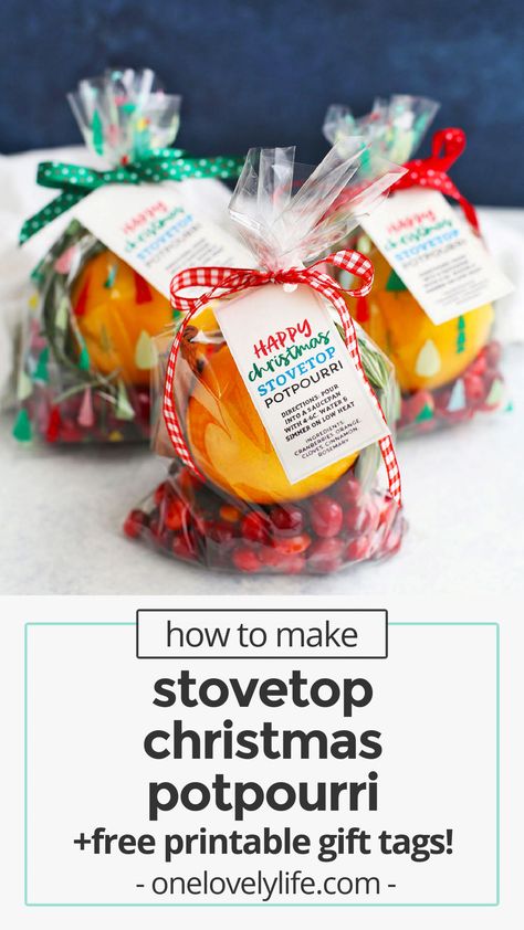 How to Make Stovetop Christmas Potpourri - This holiday potpourri recipe is like bottling up the Christmas smell! It's a great way to make your home smell like the holidays and makes a fantastic gift. Click for a how-to video and FREE PRINTABLE gift tags for gifting! #freeprintable #gifttags #printablegifttags // gift tags // free printable gift tags // free Christmas printable Stovetop Christmas Potpourri, Gift Tags Free Printable, Potpourri Recipe, Free Christmas Printable, Holiday Potpourri, Potpourri Gift, Potpourri Recipes, Dollar Store Christmas Crafts, Christmas Smell