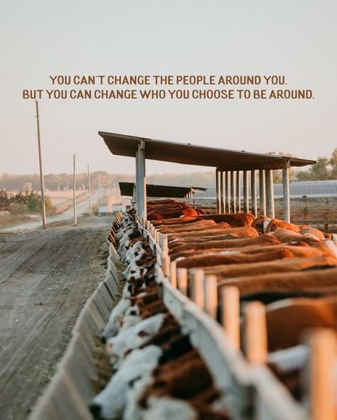 Western Senior Quote Ideas, Clancy Aesthetic, Kacey Core, Lane Frost Quotes, Western Quotes Inspirational, Ranch Quotes, Nfr 2022, Rodeo Wallpaper, Surround Yourself With Good People