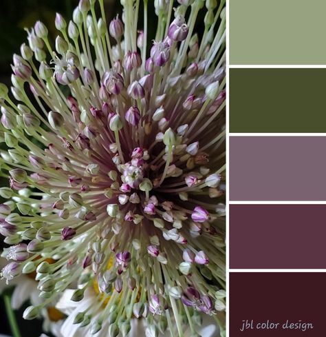 Dusty Purple Office, Eggplant And Sage Color Palette, Sage Green And Purple Bathroom, Olive Green And Purple Living Room, Plum And Sage Color Palette, Olive And Plum Bedroom, Plum And Sage Bedroom, Sage Green And Purple Kitchen, Plum And Green Living Room