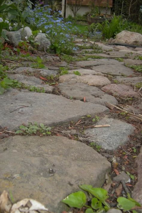 Flagstone, Slate, and Other Stone Walkway Ideas Entrance Pathway, Slate Walkway, Stone Pathways, Flagstone Pathway, Stepping Stone Walkways, Pathway Ideas, Circular Patio, Wood Walkway, Flagstone Walkway