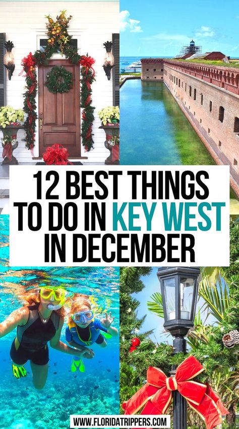 12 Best Things to do in Key West in December Key West Christmas, Key West Travel Guide, Keywest Florida, Florida Keys Road Trip, Key West Beaches, Travel Key West, Florida Travel Guide, Florida Photography, Key West Fl