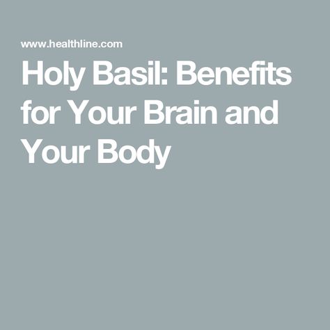 Holy Basil: Benefits for Your Brain and Your Body Basil Benefits, Holy Basil Benefits, Basil Extract, Basil Health Benefits, Growing Healthy Hair, Pimples Remedies, Holy Basil, Cold Remedies, Ayurvedic Medicine