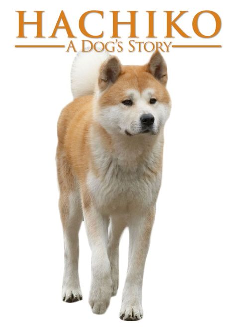 Hachiko A Dog's Story, Film Cover, Poster Wallpaper, Dog Stories, Husky, Film, Dogs, Animals, Pins