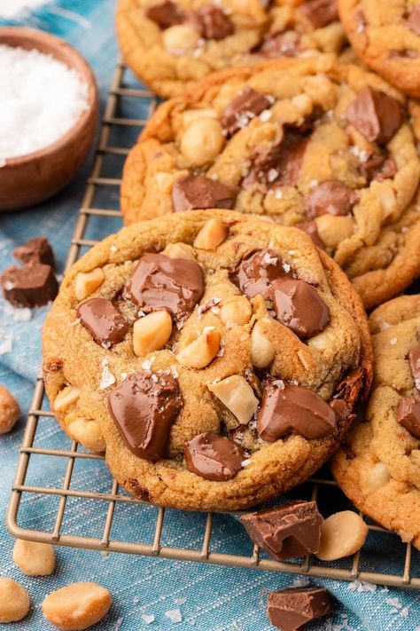 Pepperidge Farm Sausalito Cookies Copycat Recipe | Sugar & Soul Pepperidge Farm Cookies, Best Cookie Recipe Ever, Macadamia Cookies, Farm Cookies, Macadamia Nut Cookies, Basic Cookies, Levain Bakery, Frozen Cookie Dough, Frozen Cookies