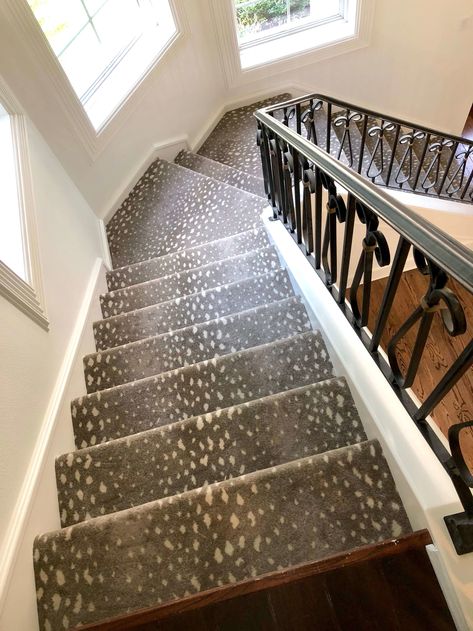 Antelope pattern carpet from Stark on the stairs | Designer: Carla Aston Patterned Stair Carpet, Stairs Carpet, Kitchen Carpet Runner, Hallway Carpet Runners, Stair Case, Buying Carpet, Cheap Carpet Runners, Plush Carpet, Printed Carpet