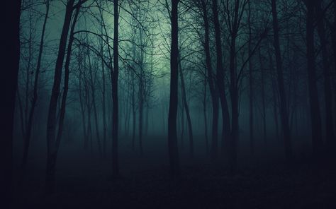 Dark Scary Forest Background Images & Pictures - Becuo Scary Woods, 8k Resolution Wallpapers, 3d Nature Wallpaper, Dark Wood Background, Scary Backgrounds, 2560x1440 Wallpaper, Saul Leiter, Background 4k, Forest Background