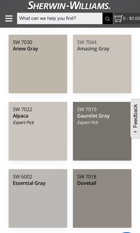 Earl Gray Sherwin Williams, Paint Colours 2024, Worldly Gray Sherwin Williams, Gray Sherwin Williams, Farmhouse Paint Colors Interior, Interior Paint Colors For Living Room, Pnw Style, Worldly Gray, Porch Paint