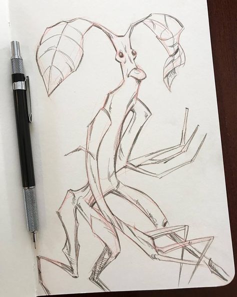 Fantastic Beasts Illustration, Fantastic Beast Drawing, Bowtruckle Fantastic Beasts, Picket Tattoo Fantastic Beasts, Thunder Bird Fantastic Beasts, Fantastic Beasts Pickett, Fantastic Beasts Sketches, Fantastic Beasts Creatures Art, Fantastic Beasts Creatures Drawing