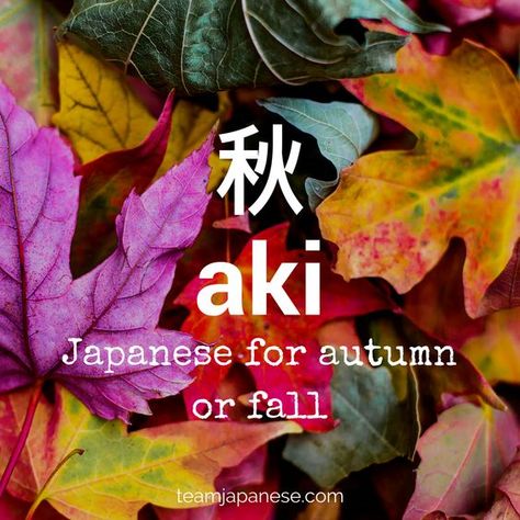 aki - the Japanese word for autumn or fall. Seasons are very important in Japan. Japanese people honour the changing seasons with special food, drink, festivals and customs. And of course, there are special seasonal words too! Increase your Japanese vocabulary with this list of Japanese autumnal words and phrases. Click through to the blog post on Team Japanese to learn more! Japanese Vocabulary, Materi Bahasa Jepang, Turning Japanese, Learn Japanese Words, Japanese Quotes, Japanese Language Learning, Japanese Phrases, Japanese Word, Unusual Words