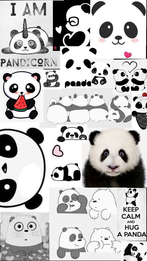 Panda For Wallpaper, Panda Animated Wallpaper, Panda Asthetic Wallpers, Panda Wallpaper Iphone Backgrounds, Cute Wallpapers Panda, Panda Wallpapers Iphone, Cute Panda Wallpaper For Phone, Wallpaper Iphone Panda, Panda Cute Wallpapers