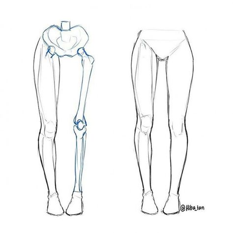 Female Anatomy Reference, Drawing Legs, Tree Drawings Pencil, Anatomy Tutorial, Body Drawing Tutorial, Human Anatomy Drawing, Body Sketches, Human Anatomy Art, Body Reference Drawing