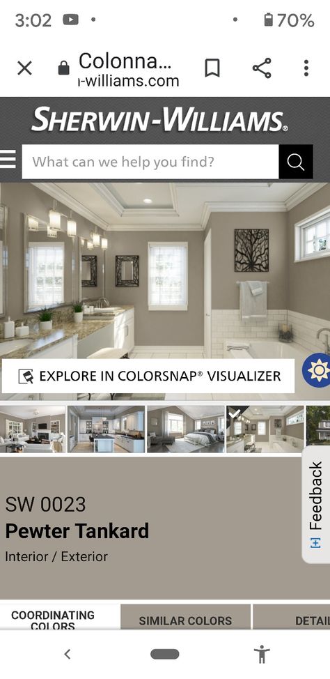 Pewter Tankard Sherwin Williams, Pewter Tankard, Gray Interior, Paint Supplies, Paint Colors For Home, Exterior House Colors, Blue Paint, Sherwin Williams, Paint Color