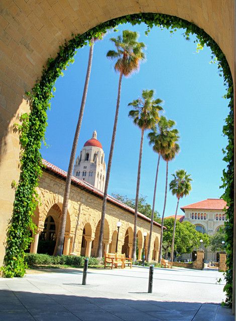 Beautiful Universities, Stanford University Campus, Stanford College, University Quote, Campus Dorm, Ucla Campus, College Planning, And So It Begins, Dream College