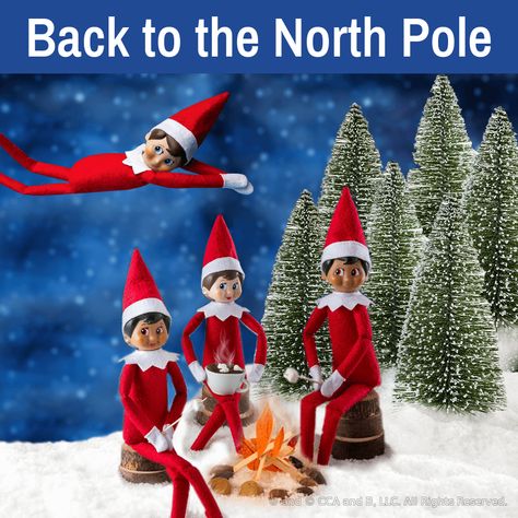 What do elves do at the North Pole | Elf on the Shelf | Elf on a Shelf Elf Goes Back To North Pole, Elf On The Shelf North Pole, Pictures Of Elves, Bad Elf, Elf Pets, Shelf Elf, Santa North Pole, Santa Cam, Treat Toppers