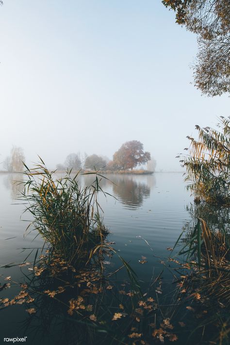 Copyright Free Images Aesthetic, Meadow Pictures, Foggy Lake, River Summer, Yellow Daisy Flower, Copyright Free Images, Sky Mountain, Summer Lake, Focus Photography