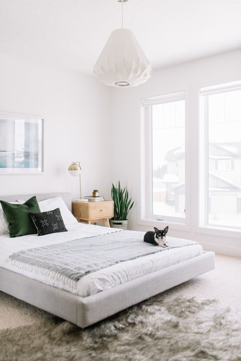 Pet Friendly Bedding Ideas, Pet Friendly Bedroom Ideas, 2020 Bedroom, Dog Room Decor, Affordable Area Rugs, Dog Wall Decor, Future Room, White Interior Design, Affordable Decor