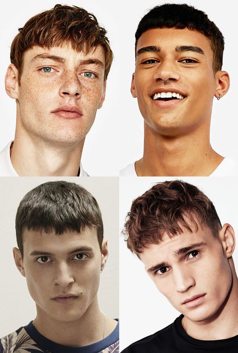 Haircuts For Big Noses, Aesthetic Hairstyles For Short Hair, Haircut For Big Forehead, Strong Jawline, Summer Hair Trends, Modern Short Hairstyles, Aesthetic Hairstyles, Hair Specialist, Men Hair Color