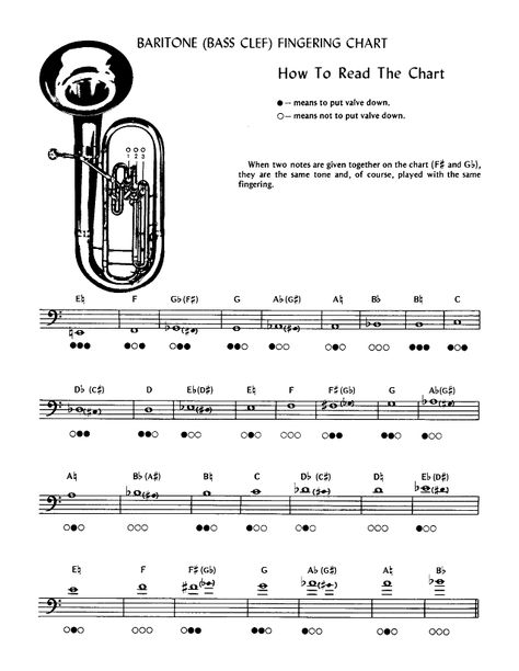 Baritone Fingering Chart Trumpet Fingering Chart, Tuba Music, Bass Clef Notes, Trombone Sheet Music, Music Mixing, Band Jokes, Music Charts, Learn Music, Trombone