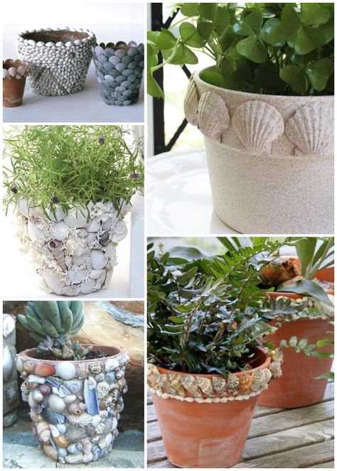 Ideas for how to decorate terracotta pots with sea shells. Featured on Completely Coastal. Decorating terracotta pots with shells can be as simple as creating a decorative rim with assorted shells, or it can be as elaborate as covering the entire pot with a composition of shells, and, of course, anything in between. Take your inspiration from these terracotta pot crafts! Terracotta Pot Crafts, Terra Cotta Pot Ideas, Pot Planter Ideas, Shell Craft Ideas, Decorating Terra Cotta Pots, Beach Cottage Design, Diy Terra Cotta Pots, Sea Shells Diy, Terra Cotta Clay Pots