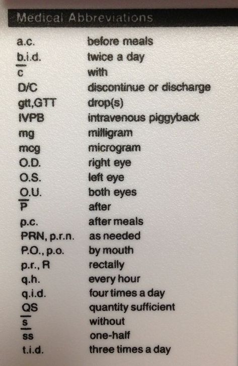 Latin Medical Terminology, Prescription Abbreviations Pharmacy Technician, Veterinary Abbreviations, Veterinary Terminology, Medical Abbreviations, Medical Terminology Study, Medical Assisting, Nursing Student Tips, Medical Student Study